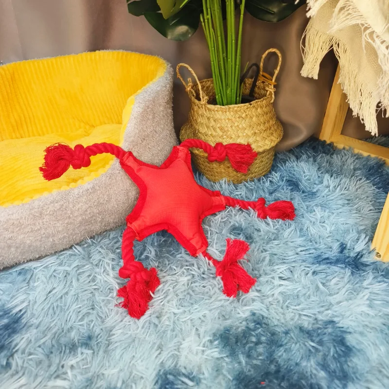 How to Choose Toys for a Happier and More Excited Pet